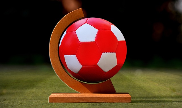 康的主力阵 康的主力阵