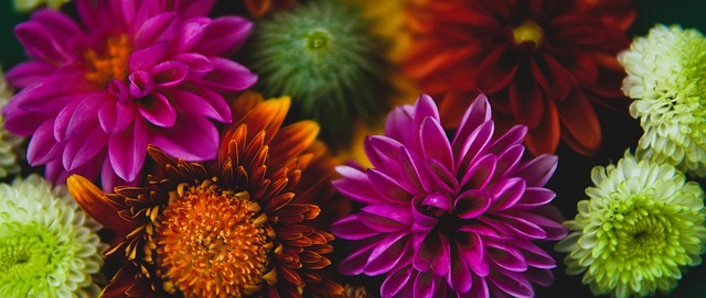 理条件一度 理条件一度