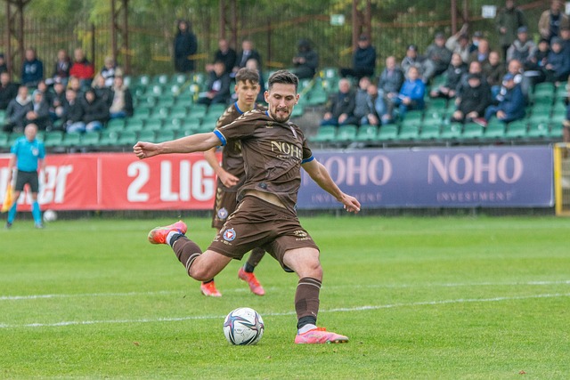 不仅有助于 不仅有助于