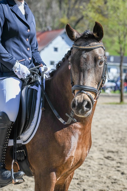 脚车运动员 脚车运动员