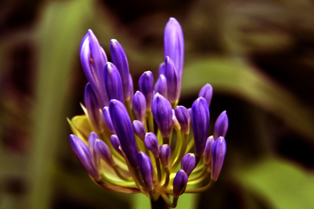 即使更換車 即使更換車