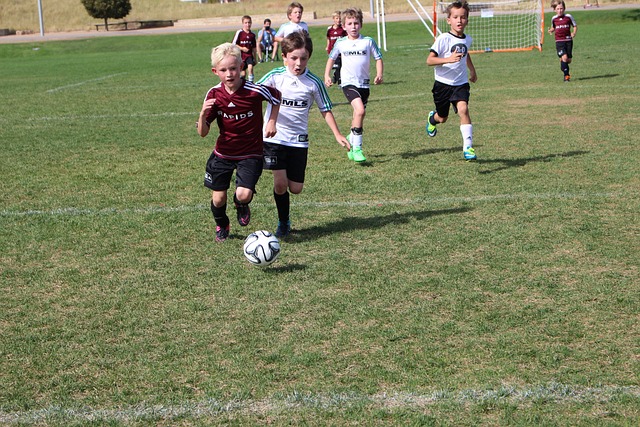 能为发展联 能为发展联