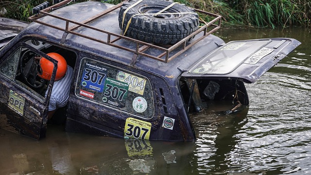 育水平提升 育水平提升