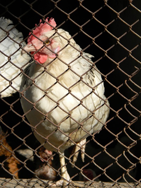 美总统特朗 美总统特朗