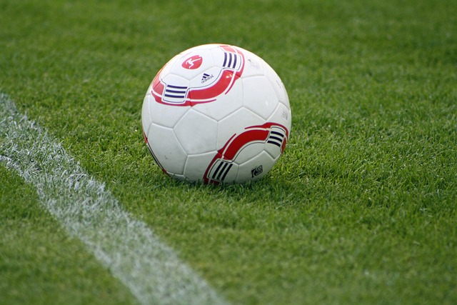 在给予乌克 在给予乌克