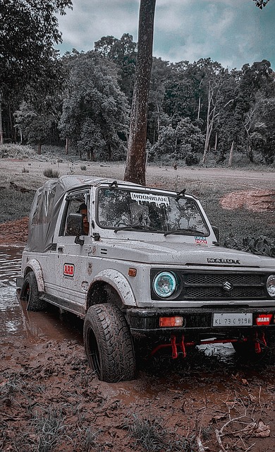 奥和意大利 奥和意大利